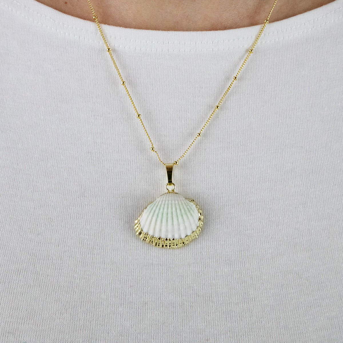 Shell necklace with a touch of gold